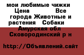 мои любимые чижки › Цена ­ 15 000 - Все города Животные и растения » Собаки   . Амурская обл.,Сковородинский р-н